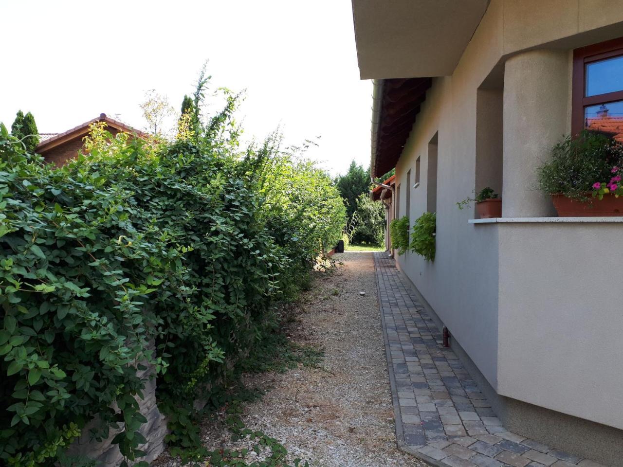 Kertvarosi Apartman Tiszaujvaros Exterior photo
