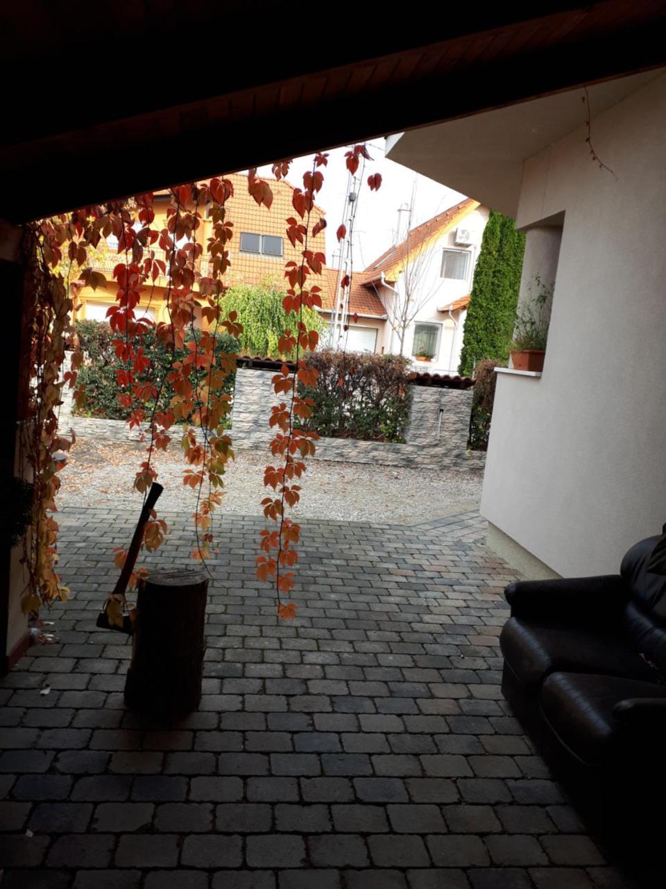 Kertvarosi Apartman Tiszaujvaros Exterior photo
